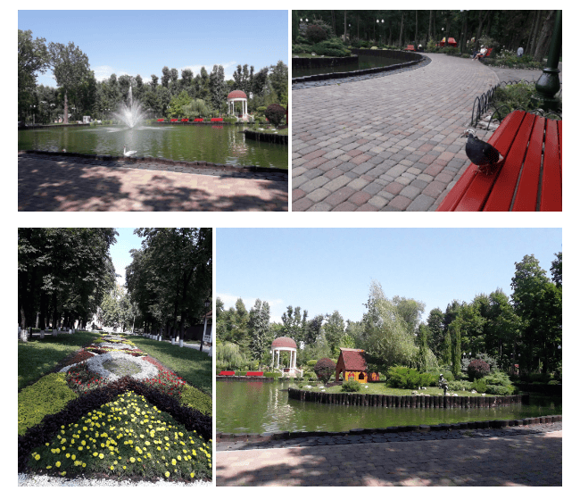 Find inspiration in the stunning city park