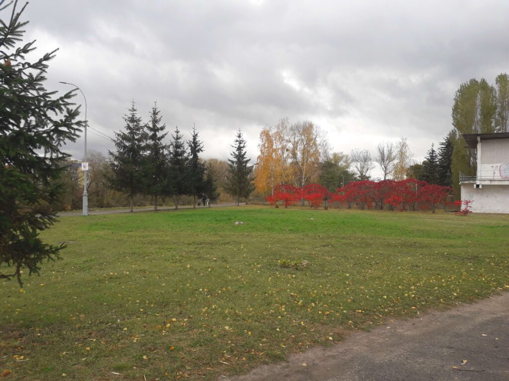 Colorful trees in landscaping