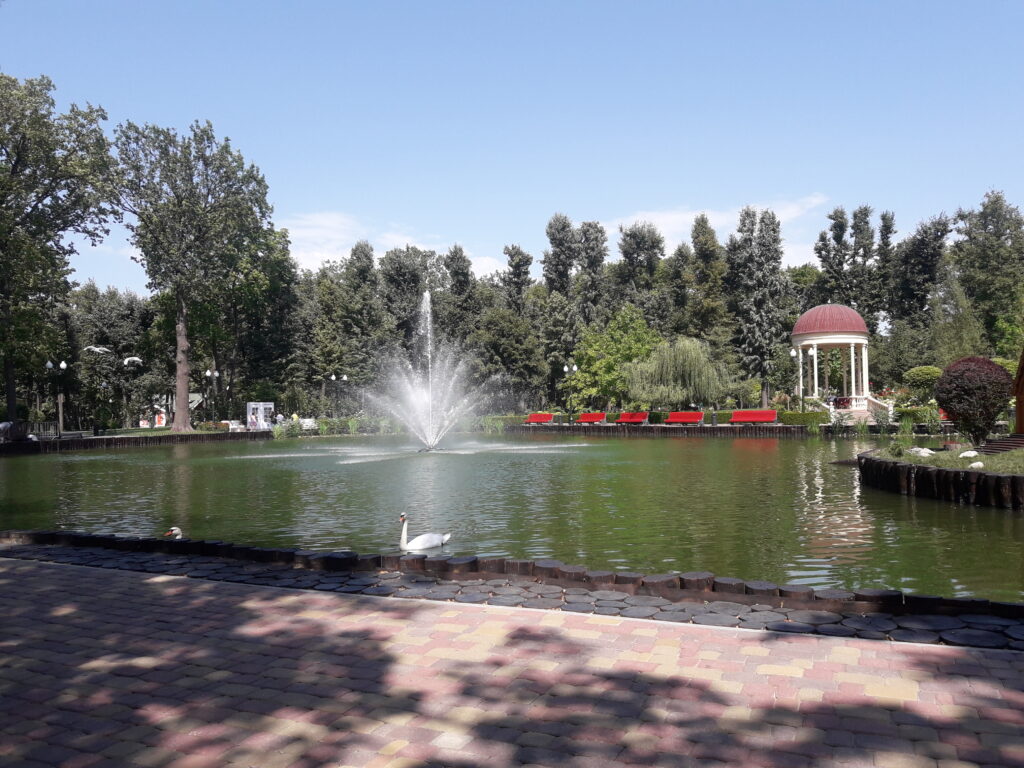 Landscapes in the park
