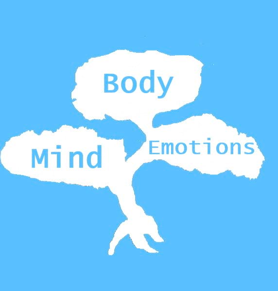 Body. Mind. Emotions. How do you manage it daily?