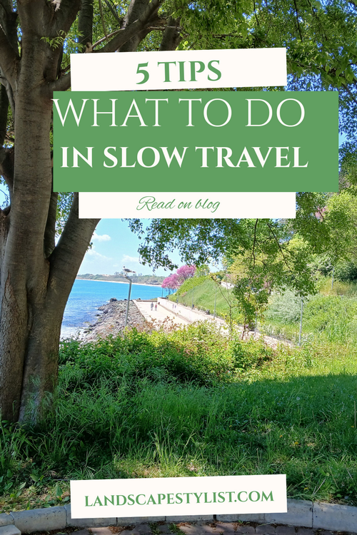 What to do in slow tavel
