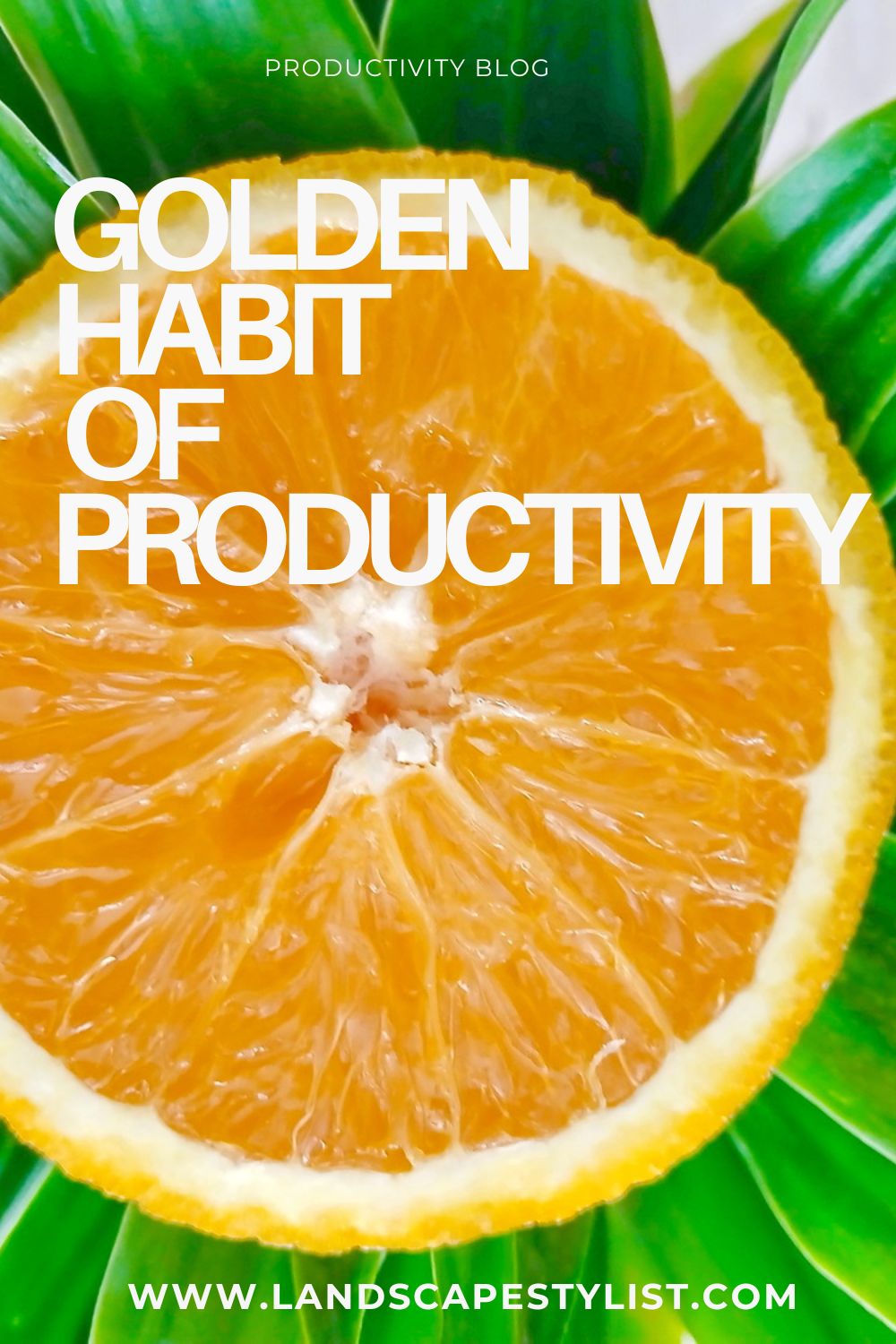 Golden prodictivity habit to learn
