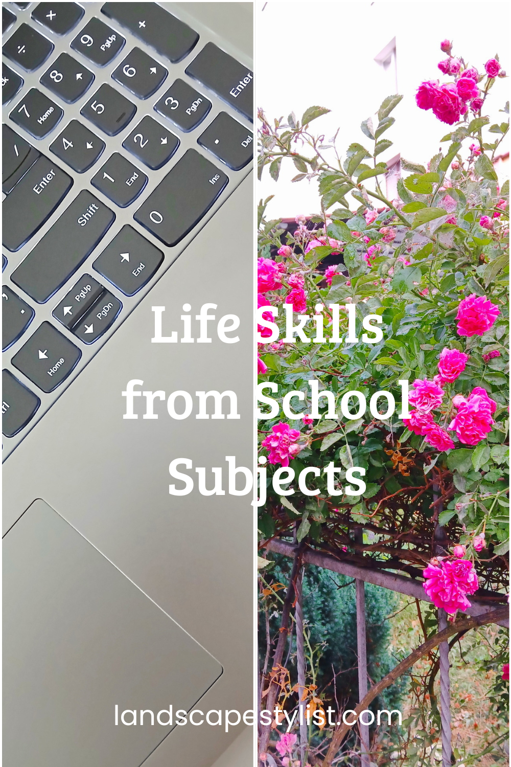 School subjects that help me in life and work